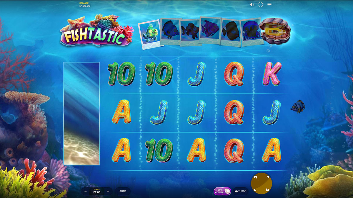 Fishtastic Fishtastic