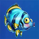 Fishtastic Azul